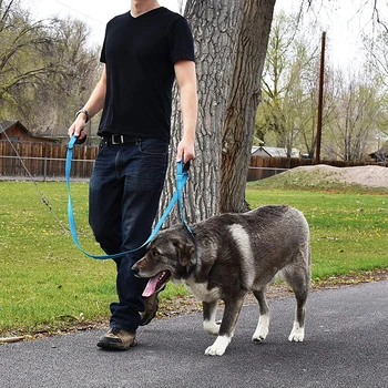 1,5 M Reflekterende Hundesnor Kraftig Dobbelt Polstret Håndtag Føre Til Styring Af Safety-Uddannelse Pet Medium Large For Hunde Snore