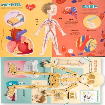 1 Bog/Pakke 3D Vores Menneskelige Krop Pop-op-Bog & Oplysning Leksikon for Børn, Uddannelse