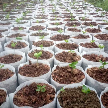 100pcs Forskellige Størrelser Bionedbrydeligt Ikke-vævet spirepotter Øko-venlige Plantning Tasker Børnehave Taske Plante Vokser Tasker Til Haven
