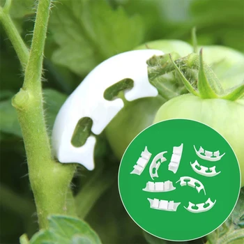 100pcs/masse Grøntsager Tomat Fastsættelse Klip for At Undgå Bøjning Støtte Klemme Frugt Blomst Grøn Plante Sætteplante Styrkelse Klip