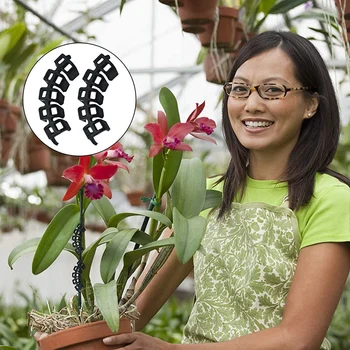 100Pcs Plante Benders for Lav Stress, Uddannelse, Plante Uddannelse Klip, Anlæg Understøtter Kontrollere Væksten af Planter