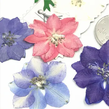 12pcs/pose Tørrede Blomster UV-Resin Påfyldning Smykker Dekorative Naturlige Presset Blomst Kunst Blomster Decors Epoxy Harpiks Skimmel