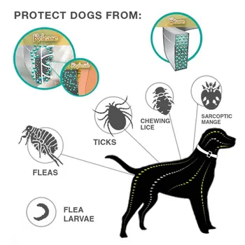 2-i-1 Pet med Dobbelt Anvendelse, Justerbar Udskiftelige myggespray Pet Kraver Dog Udendørs Rejse Walking Hunden Tilbehør