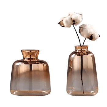 2 stk Glas Vase Nordiske Forsølvet Guld Vase Glas Vaser til Indretning Tørret Blomst Flaske Bar Dekoration