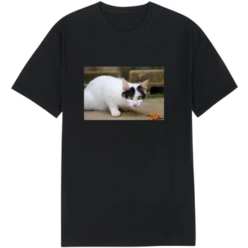 2021 Rund Hals kortærmet T-Shirt Tilpassede Print TShirt Mænd DIY Dit Eget Foto eller Logo på Toppen-Shirts T-shirt Kvinder Oversize Cat2