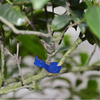 20PCS Tapetool Have Bånd PVC-Fabrik Uafgjort Tapetools Gren Tape For at Have Værktøjer til at Binde Maskine Grøntsager Frugt Træet Tapenter
