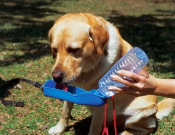 250ml Sammenklappelig Hund Drikke Vand af Flasker, Rejser håndholdt Hvalp Hunde Squeeze Flaske Vand Dispenser Flip Down Vand Pan
