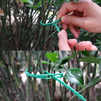 250PCS Justerbar Plastic Anlæg Kabelbindere Genanvendelige Kabelbindere til Have, Træ Klatring Støtte selvlåsende