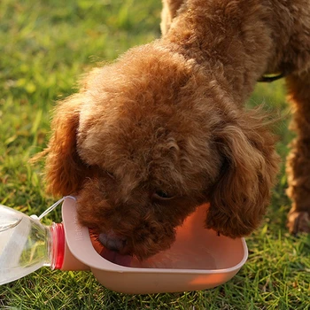 2STK Dog Vand Dispenser Bærbare Pet vandskål, Hund, Mad, Vand Skål For Offentlig Hunde Rejse Drikke Skål Pet Produkt