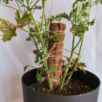 2stk For Klatrende Plante en gårdhave Med 2 Labels Indendørs Udendørs Kokos Totem Agurker Støtte Stick Moss Pole Vokse Opad