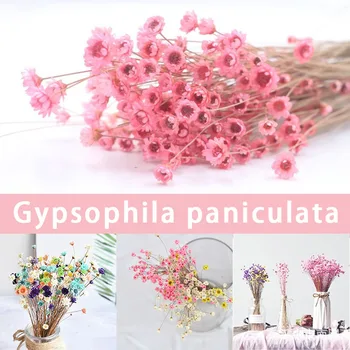 30stk Tørret Blomst Brasilianske Lille Stjerne Flower Gypsophila Chrysanthemum Kunst, Indretning, DIY CANQ889
