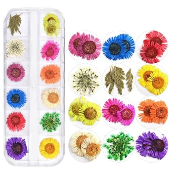 36 Color Nail Art Lysbehandling Tørret Blomst Smykker Nail Stickers Blandet DIY Dekorative Crystal Epoxy Fyldt Harpiks Kunst