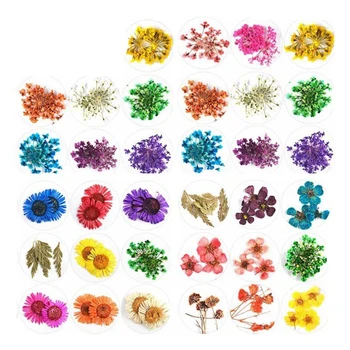 36 Color Nail Art Lysbehandling Tørret Blomst Smykker Nail Stickers Blandet DIY Dekorative Crystal Epoxy Fyldt Harpiks Kunst