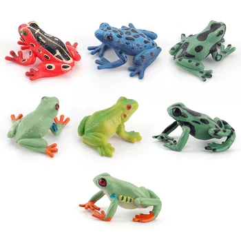 5 Slags Frø, Dyr, Figur Collectible Legetøj Wild Animal Cognition Action Figurer, Børn Plastik Model Legetøj Smykker