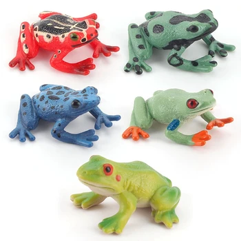 5 Slags Frø, Dyr, Figur Collectible Legetøj Wild Animal Cognition Action Figurer, Børn Plastik Model Legetøj Smykker