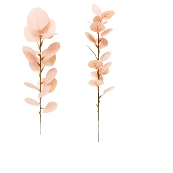 5pcs Eukalyptus Blade, Grene, Stilke Tørret Blomst Plante Ornament for DIY Bryllup Skyde Prop Hjem Dekoration af Forbrugsstoffer