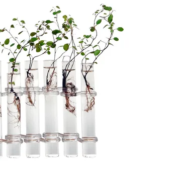 6 Glas Rør Form Hængende Hydroponiske Blomst Plante Vase Terrarium Container