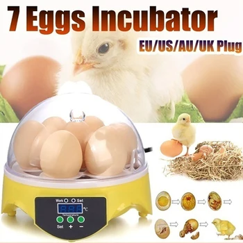 7 Æg Temperatur Kontrol Inkubator Hjem Mini Automatisk Konstant Temperatur, Kylling, And, Fjerkræ Inkubator-US-Stik