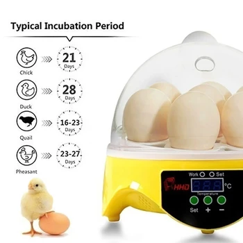7 Æg Temperatur Kontrol Inkubator Hjem Mini Automatisk Konstant Temperatur, Kylling, And, Fjerkræ Inkubator-US-Stik