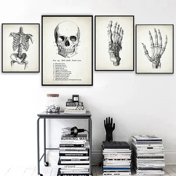 Anatomi Skelet Fod Hjernen, Hjertet Kraniet Vintage Art Lærred Maleri Nordiske Plakat Og Print Væg Billeder Læge Kontor Indretning