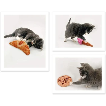 Anti Bid Cat Toy Plys Tygge Knirke Pet Legetøj Til Katte Kreative Hvalp Lyd Kæledyr Toy Uddannelse Interaktivt Legetøj Søde Produkter