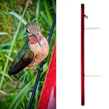 Bedste Kolibri-Arkføder med Hul Fugle Fodring Gennemsigtige Rør Let at Bruge