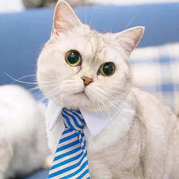 Bow Tie Trykt Katte Og Hunde Tilbehør, Fashionable Stribet Plaid Lille Blomst Pet Supplies Pet Uafgjort