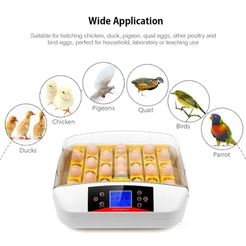 Digital Æg Inkubator Automatisk Fjerkræ Hatcher Maskine LCD-Display Temperatur Luftfugtighed Forudindstillede Alarm for Kylling Vagtler Fugle