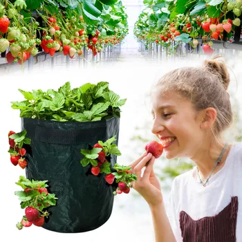 DIY-Jordbær-Plantning-PE Klud Plantning Container Bag Haven Pot grøntsagsdyrkning Tasker Fugtgivende Vertikale Have Taske