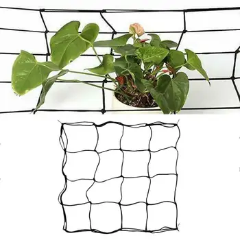 Elastisk Gummi Voksende Telt I Haven Espalier Net Support Netting Blomst Vin, Grøntsager Klatring Haven Anlæg