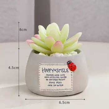 Falske Sukkulenter Bonsai Plante Potten Flower Pot Realistisk Evig Mini Cement Simulering potteplante Pynt til Hjemmet