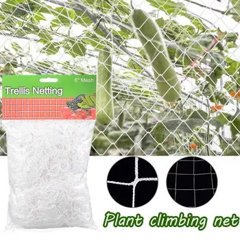 Haven Hegnet Nylon Net klatrestativ Havearbejde Net Plante Hegn Anti-bird Net Plante Espalier Netting For Frugt & Grøntsager