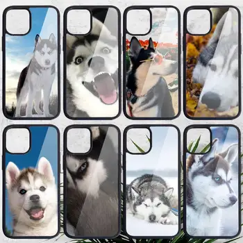 Husky søde hund dyr Telefon hvis PC ' en til iPhone 11 12 pro XS MAX 8 7 6 6S Plus X 5S SE 2020 XR