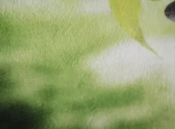 Hvid Sky Smuk Tropiske Grønne PlantsBathroom Måtte Anti-skid-Gulvtæppe Indendørs Indgang Mat Barn 40X60CM Tilbehør