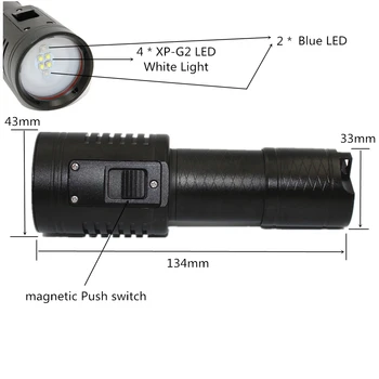 Høj Kvalitet 4100LM 4x XP-G2 + 2x Blå LED Fotografering Video Dykning Lommelygte Torch Hvid Blå Lampe