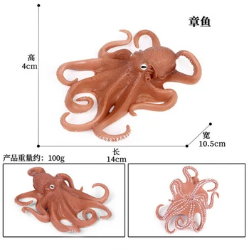 Høj Kvalitet Simulering Ocean Animal Blæksprutte Vandmænd Action Figur Samling Miniature Kognition Pædagogisk Legetøj for Børn
