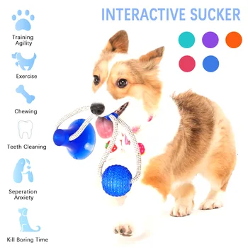 Interaktive Pet Legetøj med sugekop Dog Skubbe Legetøj med TPR Bolden Pet Tand Rengøring Tygge Gummi Hund Legetøj til Små Hunde Legetøj
