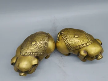 Kina Samling Bronzeware Hjem Feng Shui Indretning Metal Håndværk Kobber Gris Messing Heldige Gris Dekoration Gaver Zodiac Mascot