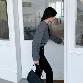 Kort Skjorte Dame Forår Med Lange Ærmer-Knappen Bluser Nye Street Koreansk Stil Plisserede Tekstur Cardigan Toppe, Mode Kvinder Tøj