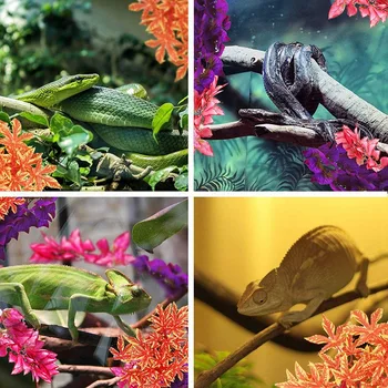 Krybdyr Planter Hængende Silke Terrarium Med Suge til Firben Habitat Dekorationer til Krybdyr, Terrarier Kæledyr Levering
