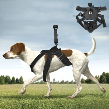 Kæledyr Hund Band + Udvidelse Adapter Dog Strap Mount Stik DJI Osmo Pocket Tilbehør til DJI Osmo Pocket Kamera Hund rem