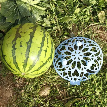 Melon frugt plantning skuffe have landbrugs-melon frugt anticorrosive rådne plast stabil skuffe Genanvendelige frugt Base
