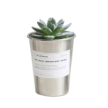 Metal Kaktus Plante Strygejern Flower Pot Rustfrit Stål Cup for Sukkulent Plante, M17D