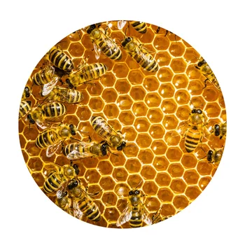 Mode Personlighed Honeycombs Tæppe Mat Bee Udskrivning-Gulvtæppe Mattextile Måtte Til Hjem, Bad, Soveværelser, RP8