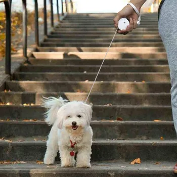 Ordentlig husholdning møbler hundesnor Automatisk Optrækkelige Søde Mellemstor Hund Pet Supplies sommerhus Tilbehør