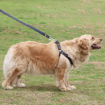 Pet Leverandører Hund Kraver Denim Personlig Pet Dog Tag Krave Snor Føre Til Mellemstore Og Store Hunde Bulldog Mops Beagle