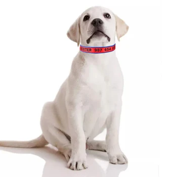 Puppy Medium Large Unisex Hunde Krave Med Justerbar Nylon Produkter Hund Kraver Brugerdefinerede Broderet Navn Tag Personlig Hundehalsbånd