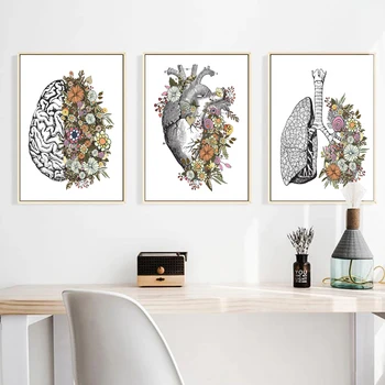 Skelet Organ-Muskel System Lærred Malerier Menneskelige Anatomi Kunst Plakater og Prints Væg Kunst, Billeder, for at Leve Home Decor