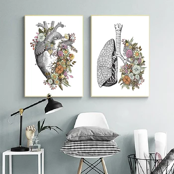 Skelet Organ-Muskel System Lærred Malerier Menneskelige Anatomi Kunst Plakater og Prints Væg Kunst, Billeder, for at Leve Home Decor