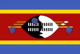 Swaziland Flag Nationale Polyester Banner, der Flyver 3ft X 5 m Flag Over Hele Verden på Verdensplan Udendørs